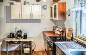 kuchnia z białymi szafkami i piekarnikiem w obiekcie Cozy Home In Drzonowo With Sauna w mieście Schönau