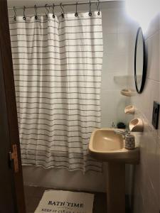 baño con lavabo y cortina de ducha en Cálido Departamento a una cuadra de Aristides en Mendoza