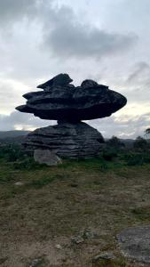 Pensión A Pedra في دومبريا: صخرة كبيرة على شكل فطر في حقل