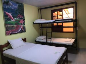 um quarto com 2 beliches e uma janela em Hostal La Esperanza em Letícia