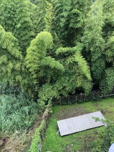 Zahrada ubytování Hotel cambulos + 8 fotografií