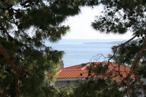 Fotografie z fotogalerie ubytování Apartments with a parking space Baska Voda, Makarska - 3059 v destinaci Baška Voda