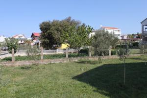 Zahrada ubytování Family friendly seaside apartments Sukosan, Zadar - 3273
