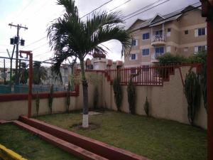 a palm tree in a yard next to a building at Sweet Kensville @ New Kingston in Kingston