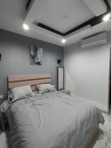 1 dormitorio con 1 cama grande en una habitación en Porto Said apartment, en Port Said
