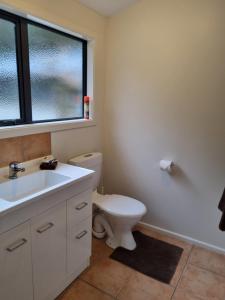 a bathroom with a toilet and a sink and a window at Havelock Garden Motel in Havelock