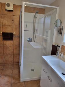 W łazience znajduje się prysznic i umywalka. w obiekcie Havelock Garden Motel w mieście Havelock