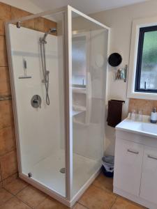 W łazience znajduje się prysznic ze szklanymi drzwiami. w obiekcie Havelock Garden Motel w mieście Havelock