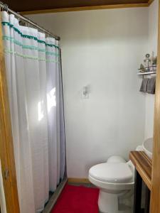 y baño con aseo y cortina de ducha. en Barcaza de 2 habitaciones a 2 km de Playa Potrero, en Potrero