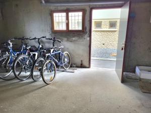 Jazda na bicykli v okolí ubytovania Studio Cabine 4 Pers, Front de Mer, Balcon Sud, Parking Privé, Vélos Inclus, Aucun Animal Autorisé - FR-1-465-84 + 6 fotografií