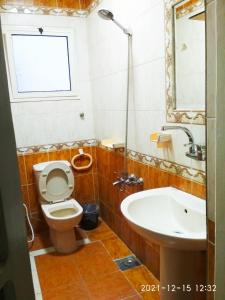 a bathroom with a toilet and a tub and a sink at Nice house in Alexandria