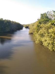 un río con árboles a su lado en Mermaid Cabana and Tree Houses, en Tangalle