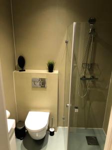 a bathroom with a toilet and a glass shower at Central studio apartment Apt 104 in Stavanger +6 photos