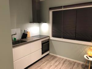 Kjøkken eller kjøkkenkrok på Central studio apartment Apt 104