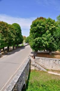 una pared de piedra junto a una carretera con árboles en confortable maison familiale à l'entrée du village médiéval, en Noyers-sur-Serein