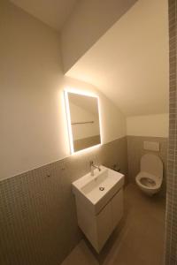a bathroom with a sink and a toilet at City Center Apartment in Interlaken