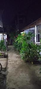 a walkway in front of a house at night at Syifa Homestay in Gili Trawangan