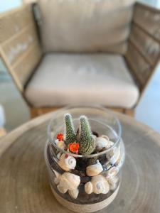 un bol en verre avec des cactus sur une table dans l'établissement El Trebol Bar & Hotel Only Adults, à Carboneras