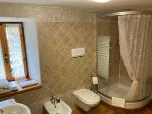 e bagno con doccia, servizi igienici e lavandino. di B&B Maison Vallomy a Lillianes