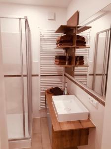 a bathroom with a sink and a shower at City Park Loft in Münchberg