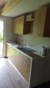 a kitchen with a sink and a counter top at Masetto Egidio Eco-Agritur in Strigno