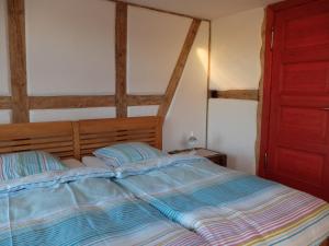 ein Schlafzimmer mit einem Bett und einer roten Tür in der Unterkunft Botanische Botschaft in Strodehne