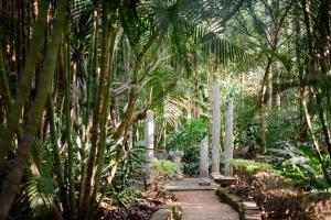a path through a garden with palm trees at Shambala Eco Retreat in Mount Tamborine