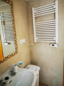 uma casa de banho com um lavatório, um espelho e um WC. em La Casa de los Pájaros em Vélez Blanco