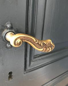 a gold door handle on a gray door at Studio 329 in Aix-les-Bains