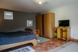 1 dormitorio con 1 cama y TV de pantalla plana en Apartment Familie Cortie, en Spitzzicken