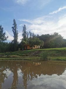 River Cabin في روديبورت: منزل على تلة بجوار تجمع للمياه