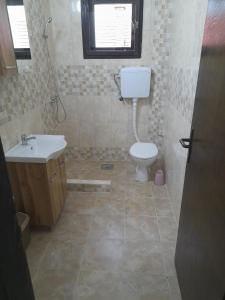 een badkamer met toilet en wastafel bij Beli Ocnjak in Soko Banja