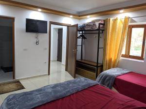 Postel nebo postele na pokoji v ubytování Guesthouse Alvi + 2 fotografie