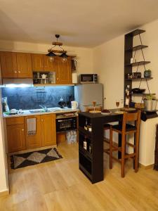 Dapur atau dapur kecil di Mon Repos Paleopolis Cosy Apartment