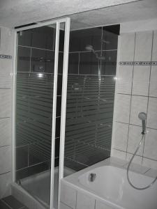 a bathroom with a shower and a bath tub at Ferienwohnung Jena-Zoellnitz in Zöllnitz +13 photos