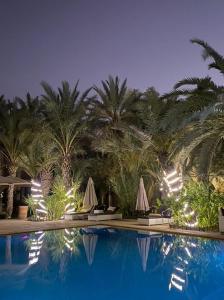 Riad le Jasmin内部或周边的泳池
