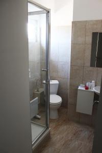 a bathroom with a toilet and a glass shower door at VILA ONIX in Săcueni