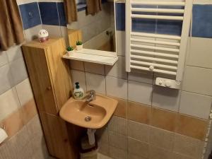 La petite salle de bains est pourvue d'un lavabo et d'un miroir. dans l'établissement Vikendica Jela Blidinje, à Rudo Polje
