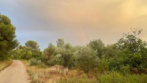 un camino de tierra con árboles y un cielo nublado en Bellissima Bell tent en Tortosa