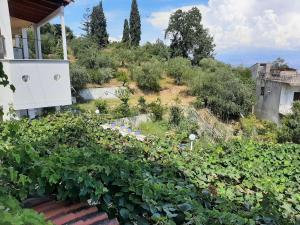 Κήπος έξω από το Apartment in Mpenitses near Beaches & Pool