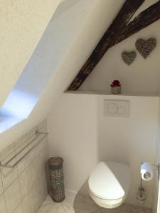 a bathroom with a toilet in a attic at Gite de l'Oncle Hansi in Colmar