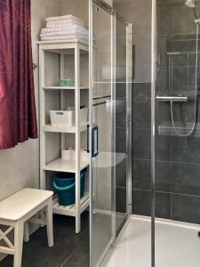 a bathroom with a shower with a glass door at Apartman Hubert in Kašperské Hory