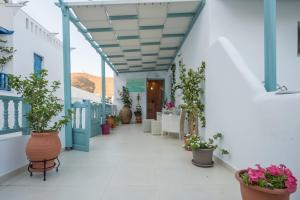einem Korridor eines Gebäudes mit Topfpflanzen in der Unterkunft Aphrodite Studios in Astypalea-Stadt
