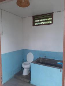 Pulau MansuarFrances Homestay - Raja Ampat的相册照片