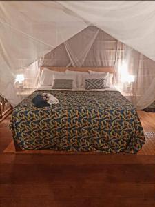 a bed in a tent with a cat laying on it at Frances Homestay - Raja Ampat in Pulau Mansuar