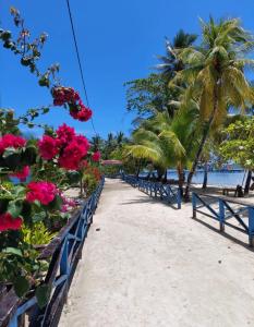 Pulau MansuarにあるFrances Homestay - Raja Ampatの椰子の木が並ぶ浜辺のベンチ