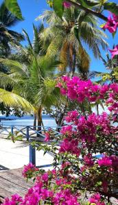 a bunch of pink flowers in front of a palm tree at Frances Homestay - Raja Ampat in Pulau Mansuar