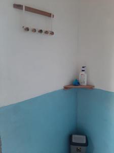 Pulau MansuarFrances Homestay - Raja Ampat的相册照片