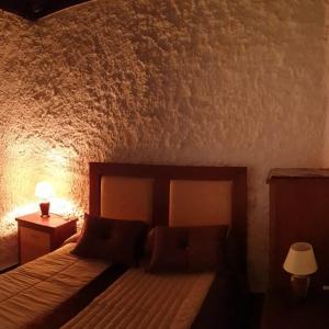 a bedroom with a bed and a lamp and a wall at Silo el capricho in Madridejos