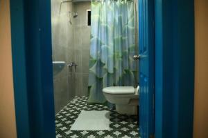 uma casa de banho com um WC e uma cortina de chuveiro azul em Olympos Five Rooms Apart no 1 em Antalya